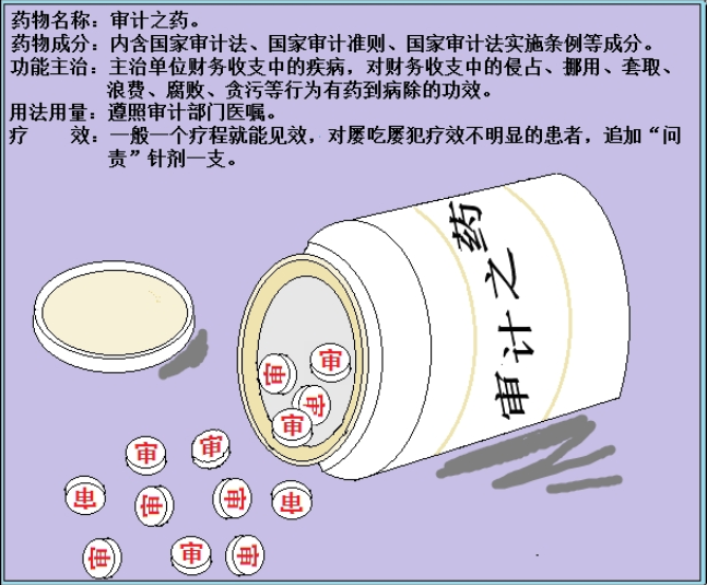 审计之药.jpg